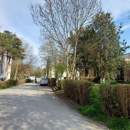 Studio Olimp Black Sea Exterior photo